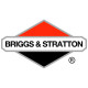 Двигатели Briggs-Stratton в Твери