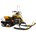 Снегоход Irbis Dingo T150 NEW в Твери